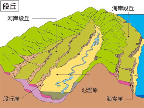 属 意味|「属」の意味や使い方 わかりやすく解説 Weblio辞書